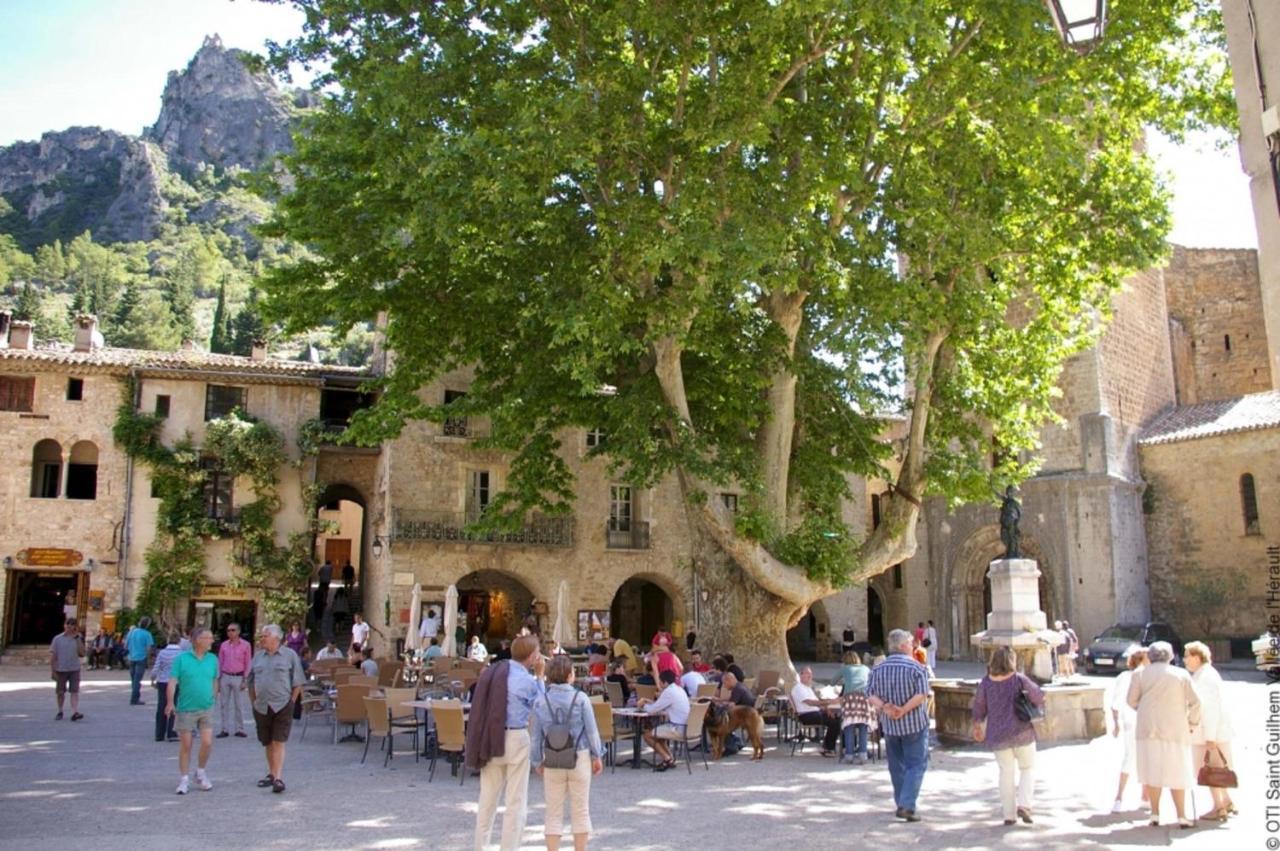 "Belle Etape"-Meuble De Tourisme 3 Etoiles -Residence "Les Logis De Beziers"-Garage Optionnel-Coeur De Ville-Plages A 16Km ! Dış mekan fotoğraf